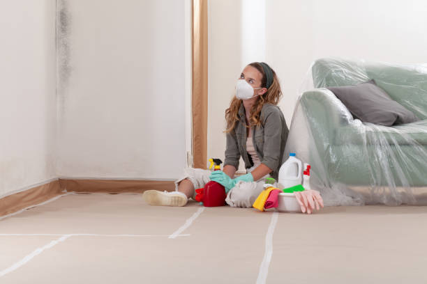 Reliable Mold Cleanup contractor in Hawthorne, FL by WQB Mold Removal